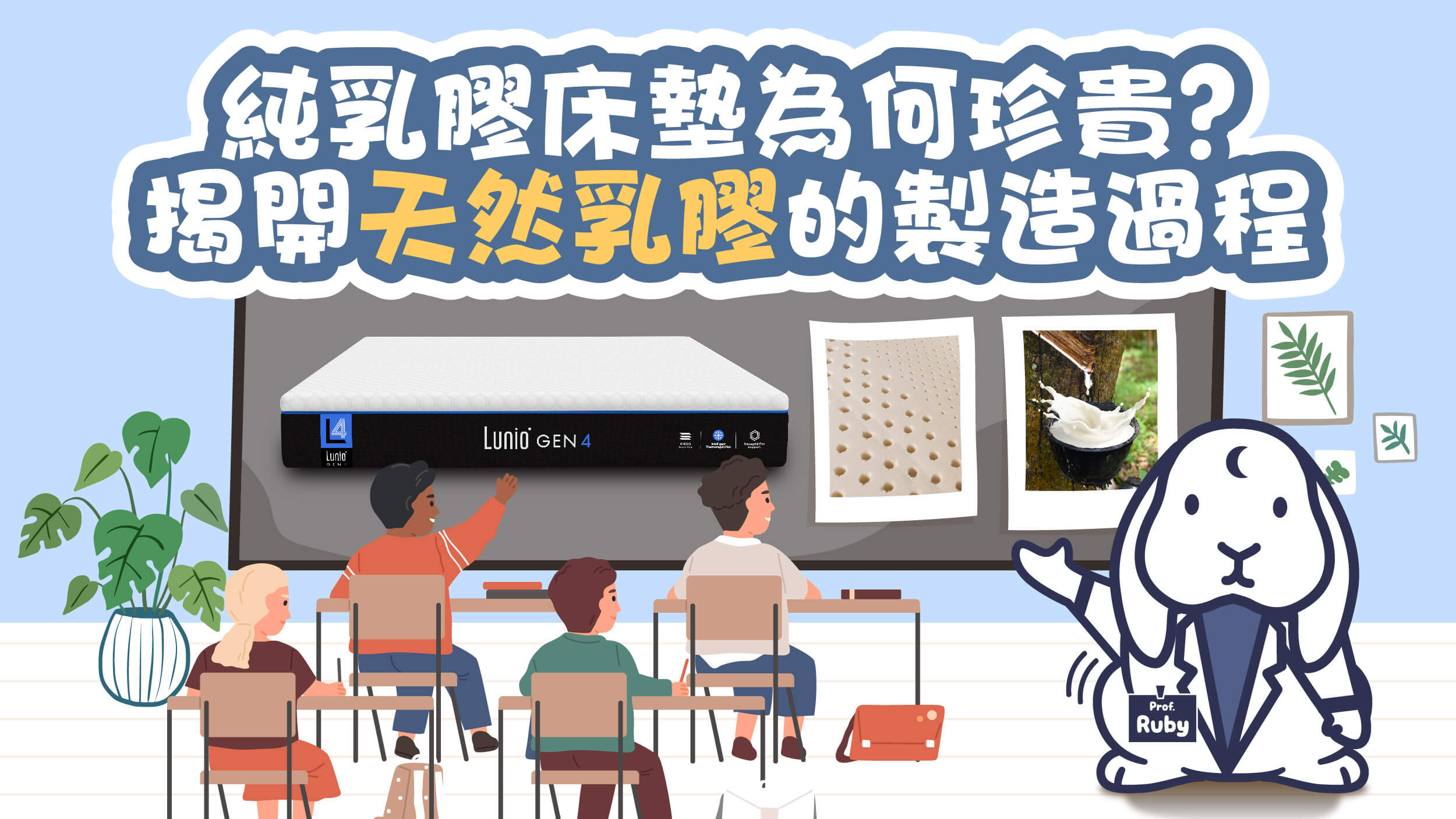純天然乳膠床墊為何如此珍貴？揭開乳膠製程、成本關鍵、購買陷阱