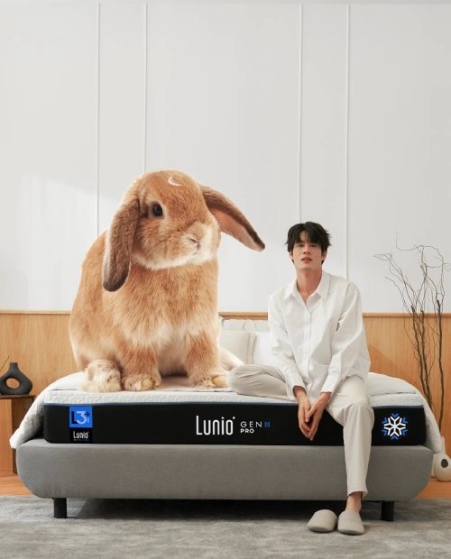 兔子坐在 lunio gen3 pro 床墊上