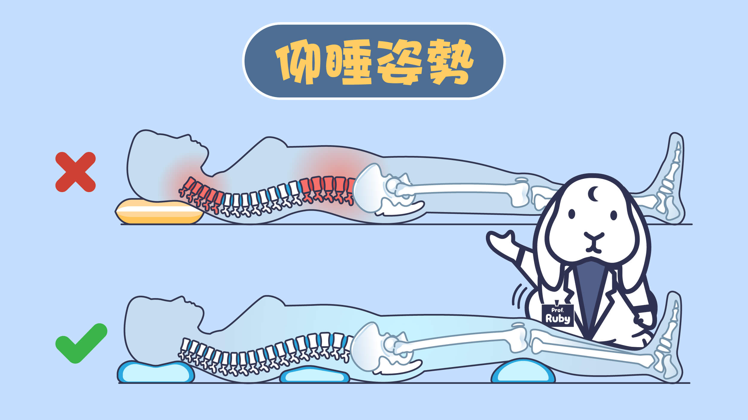 正確仰睡姿勢