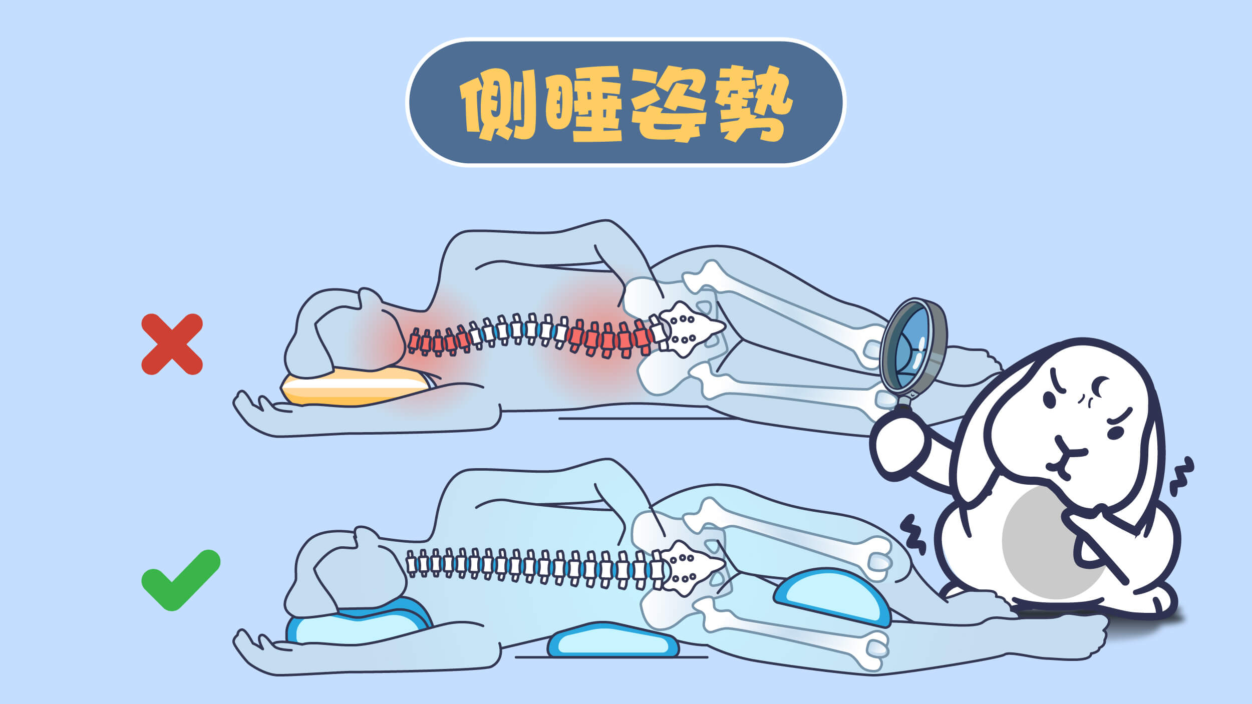 側睡正確姿勢