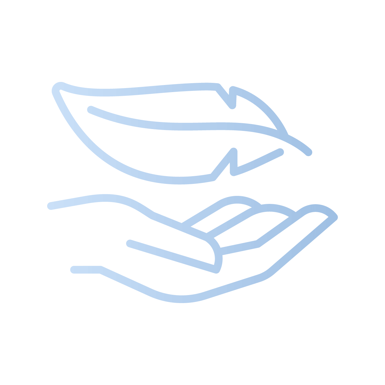 Ergo Homepage 親膚柔軟