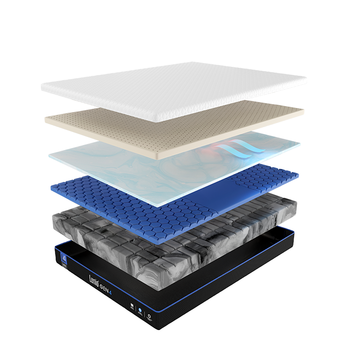 QTMLaye PC